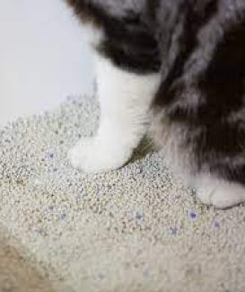 Dust Free Strong Clumping Natural Deodorizer Premium Bentonite Cat Litter